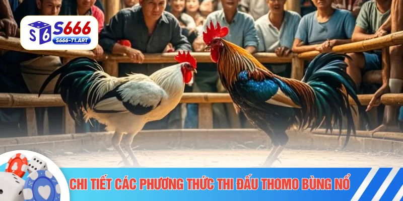Chi tiết các phương thức thi đấu Thomo bùng nổ 